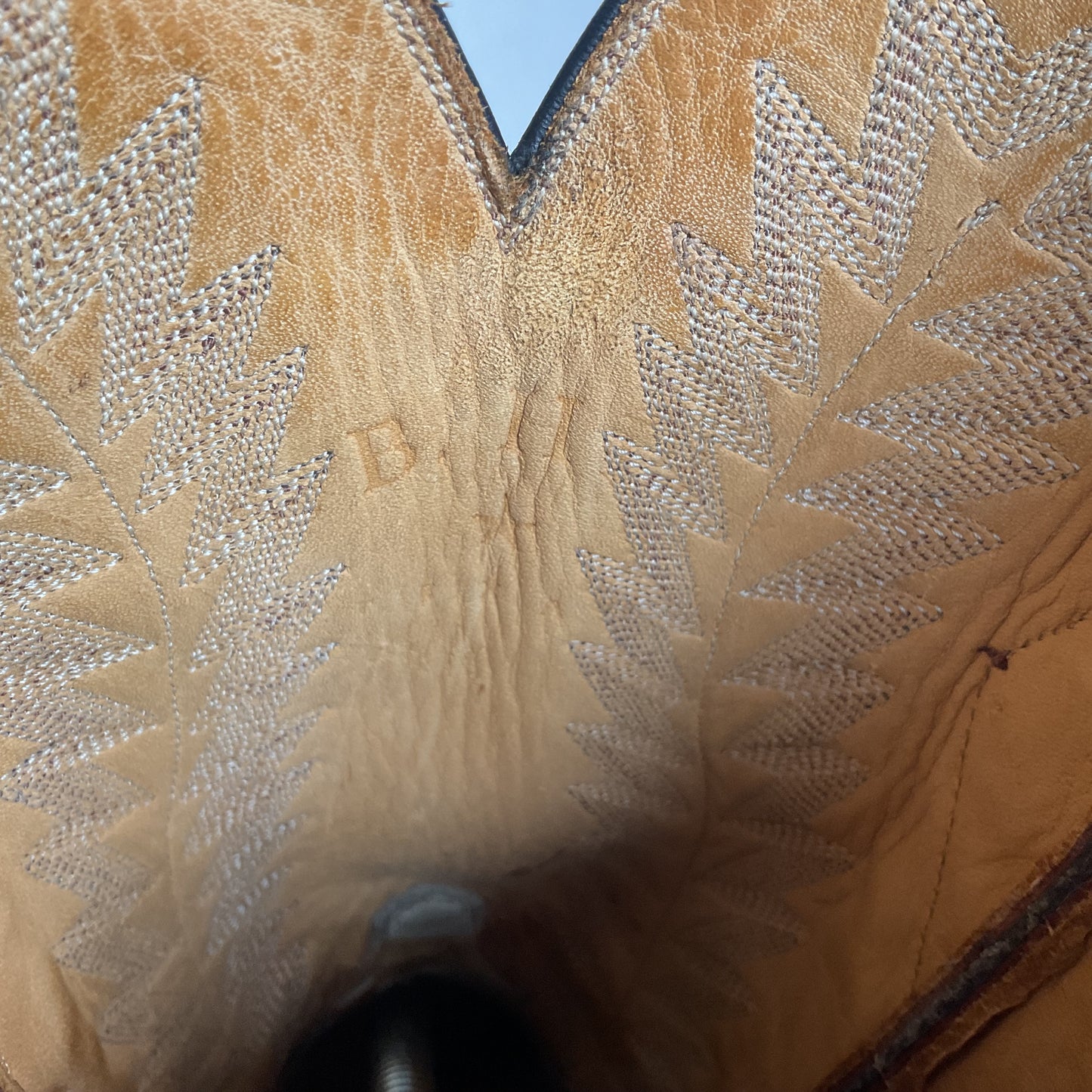 J. B. Hill Custom Cowgirl Boots | Teju Lizard | Style 12 | Women’s 6