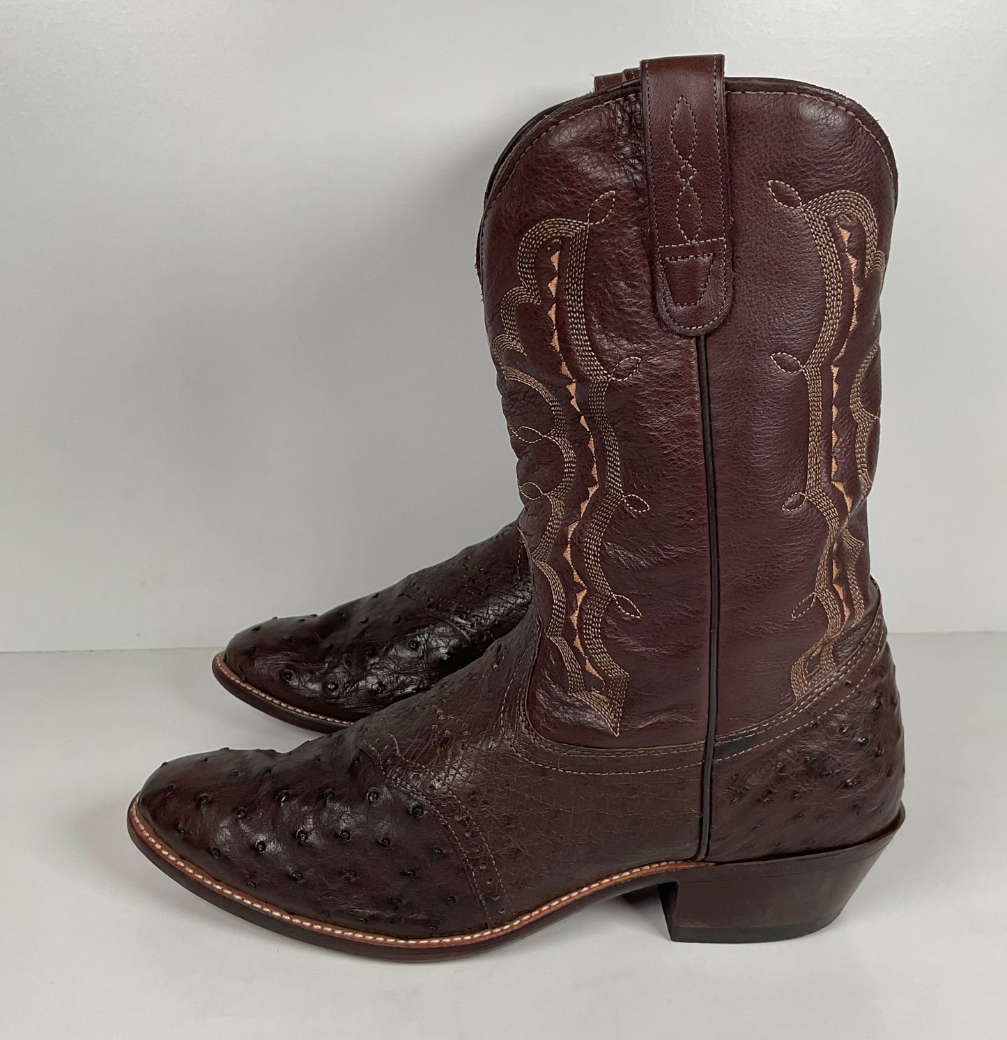 J. Chisholm Full Ostrich Quill Roper Boots | Exotic | USA Made | Men’s 10 D