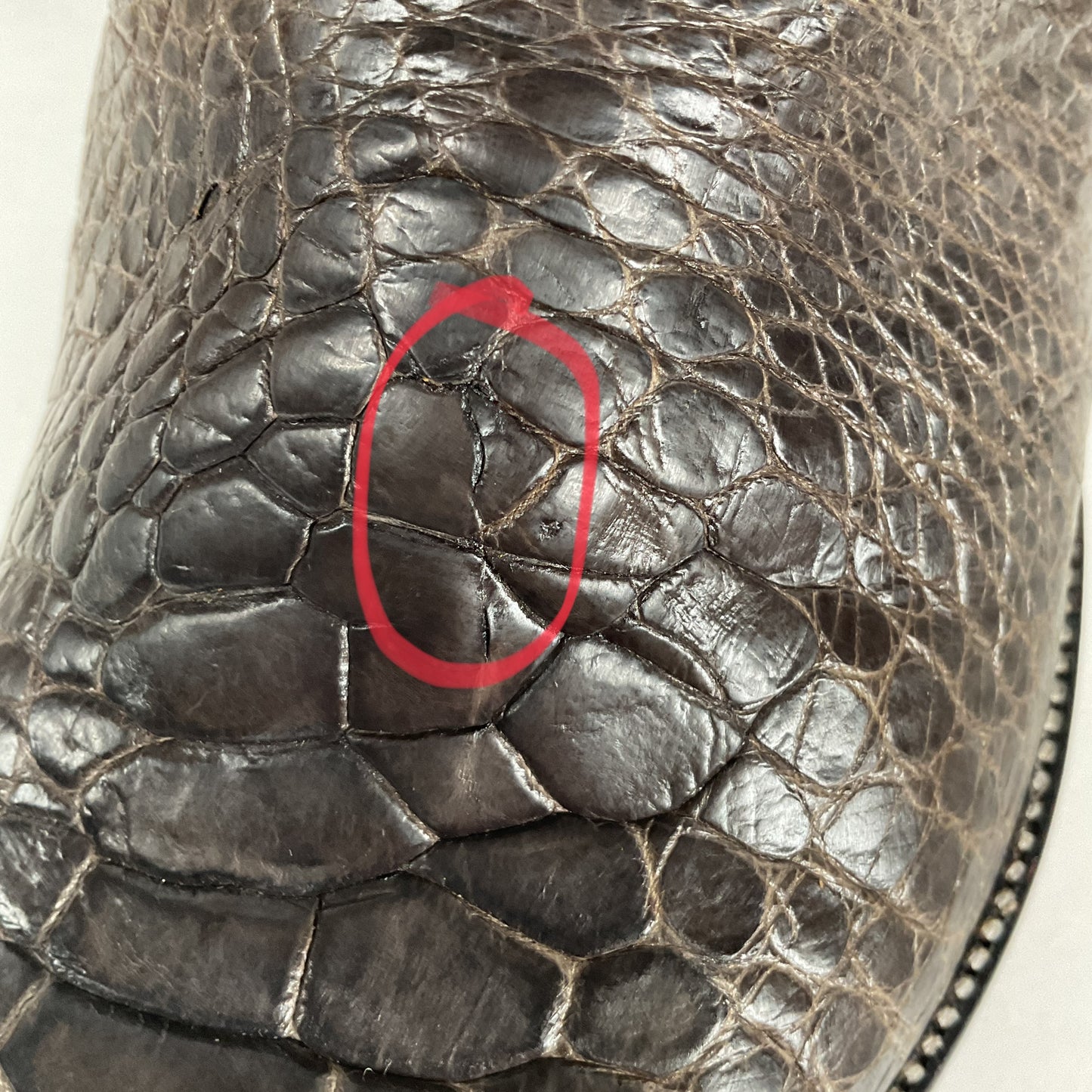 Vintage Exotic Cowboy Boots | Pre Ban | Grey | Wide | Men’s 10