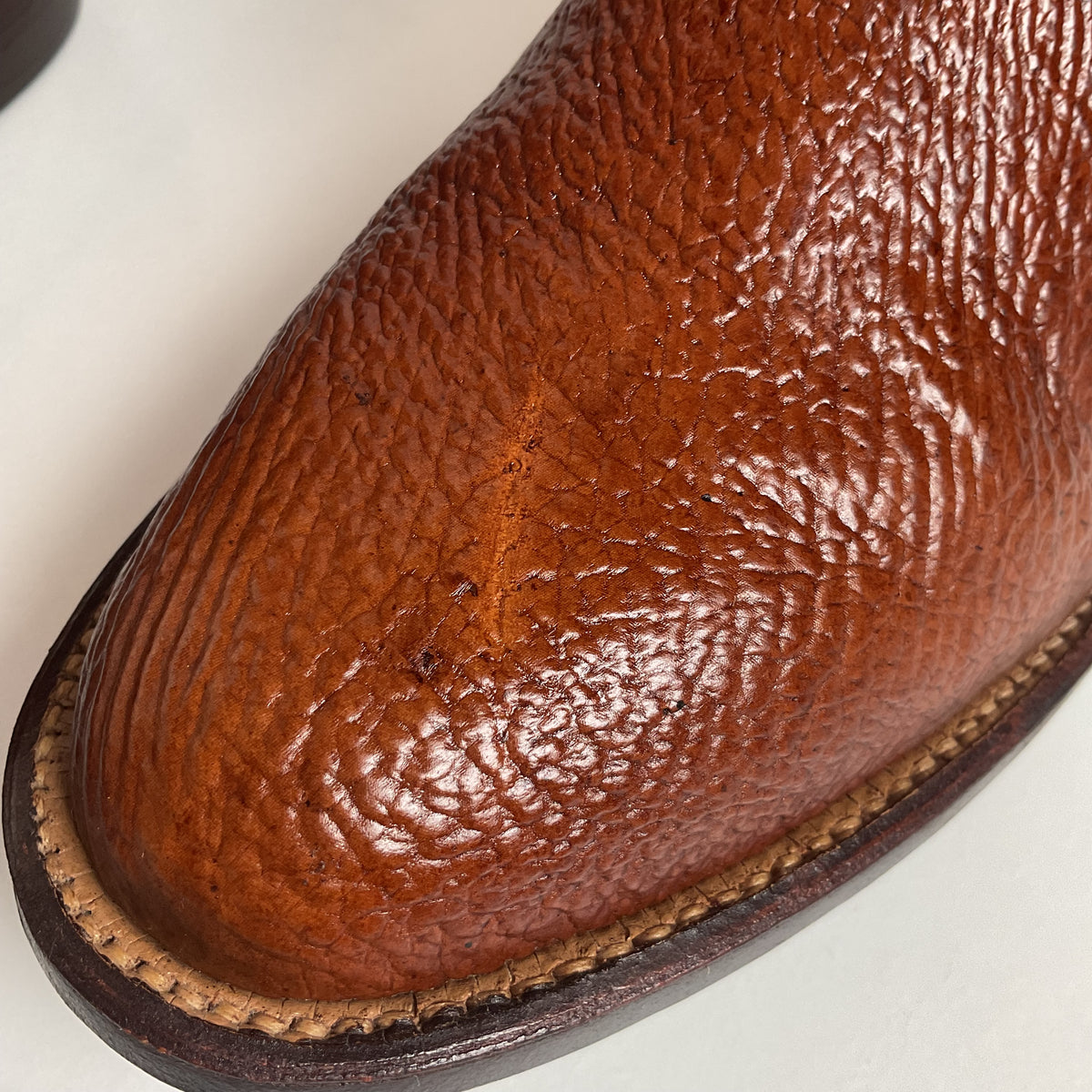 Vintage Sanders Shark Skin Cowboy Boots | Exotic | 1970s | Men’s 9 D