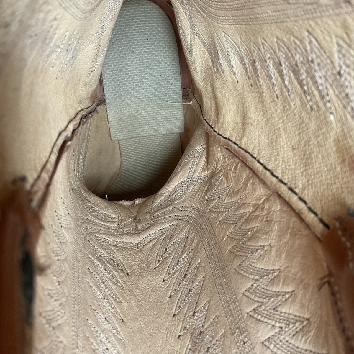 Vintage Dan Post Teju Lizard Cowboy Boots | Peanut Brittle | Men’s 10 D