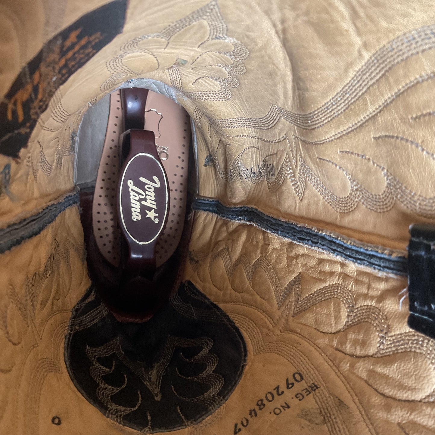 Vintage Tony Lama Anaconda Cowboy Boots | Snakeskin | Gold Label | Exotic | 9 D
