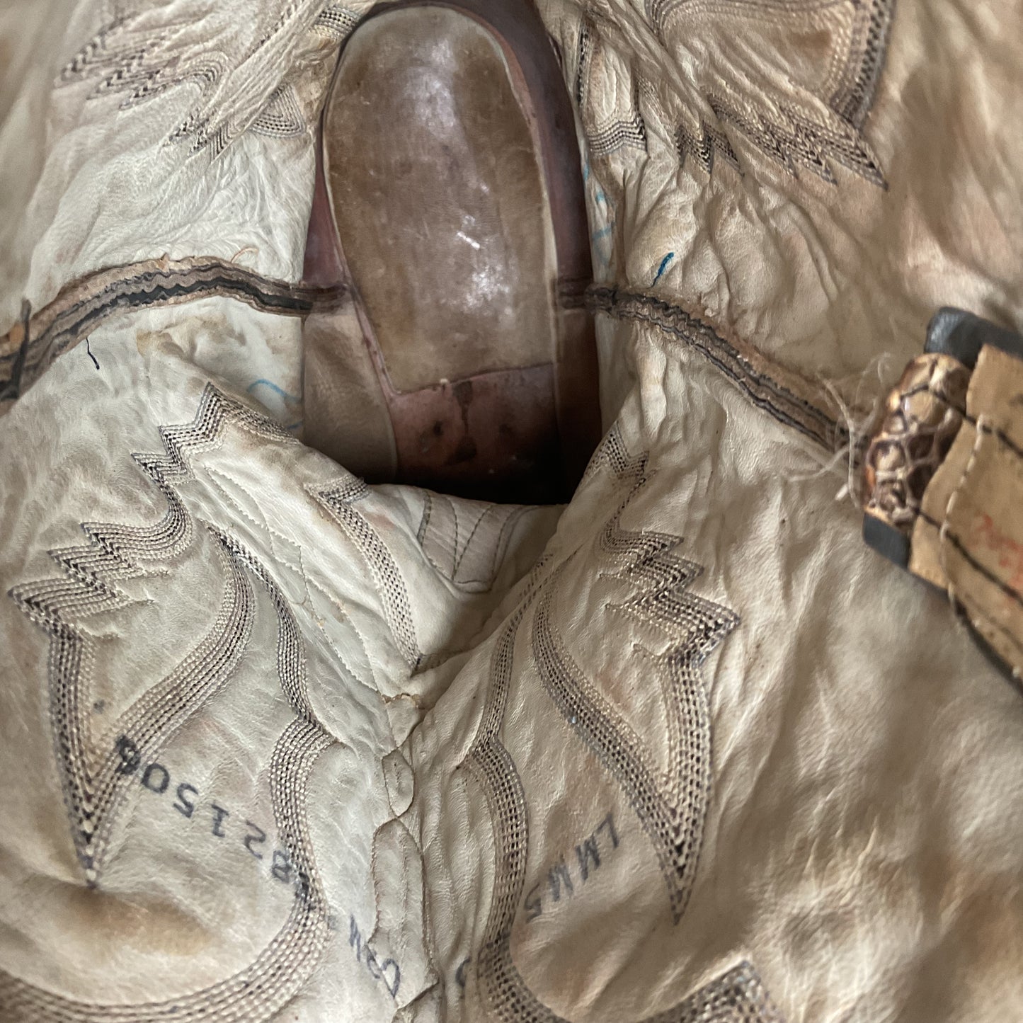 Vintage Larry Mahan Python Snakeskin Cowboy Boots | Reticulated | Men’s 12 D