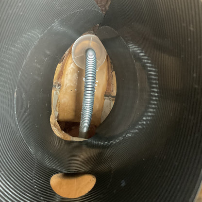 J. B. Hill Custom Cowgirl Boots | Teju Lizard | Style 12 | Women’s 6