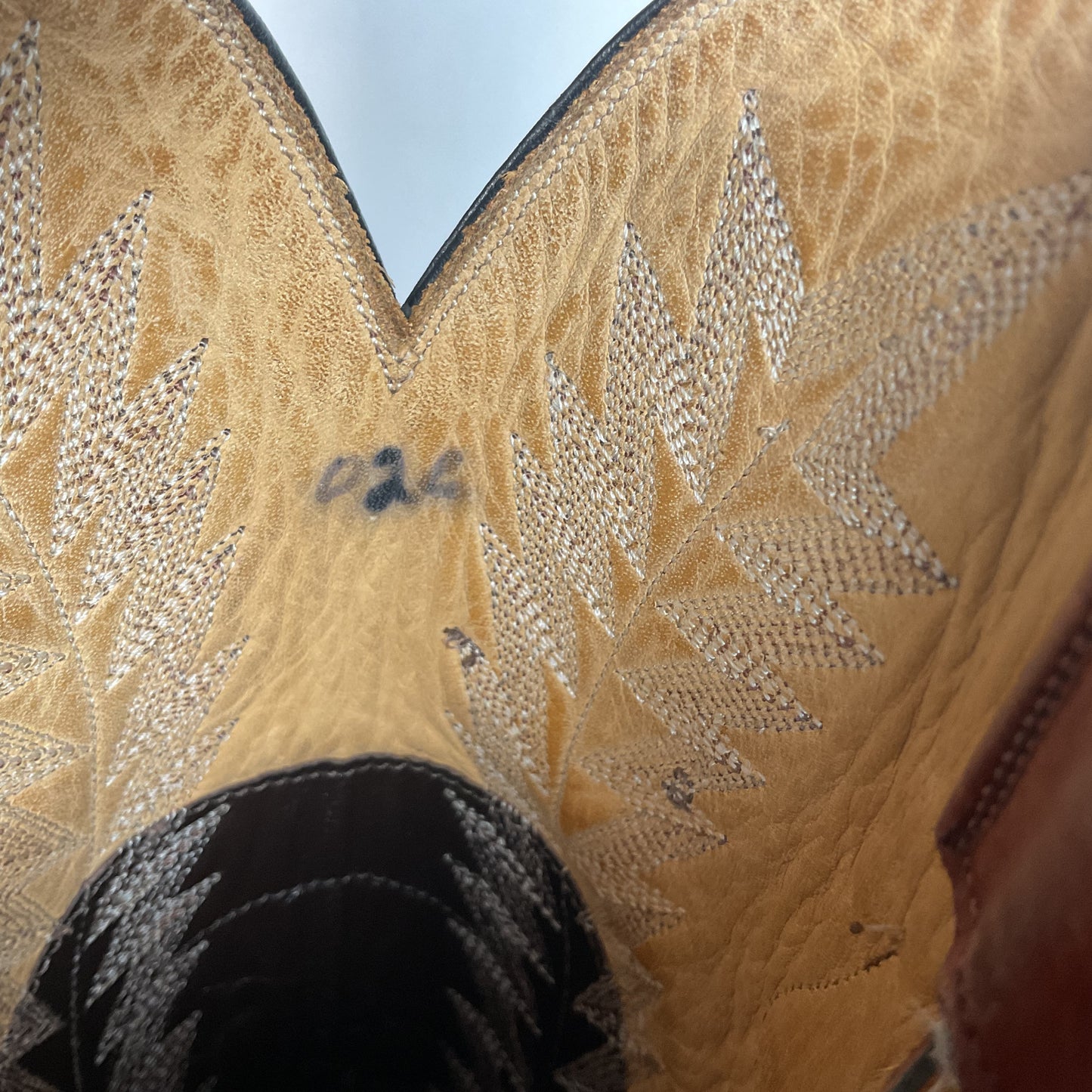 J. B. Hill Custom Cowgirl Boots | Teju Lizard | Style 12 | Women’s 6