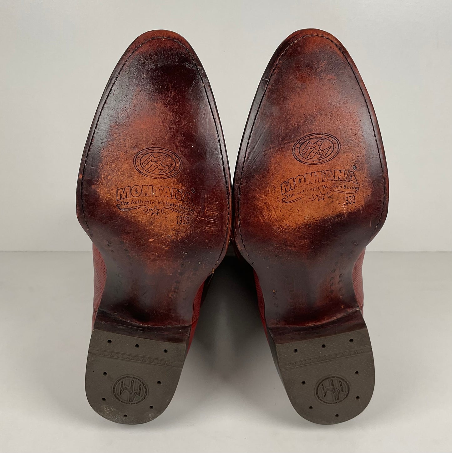 Montana Teju Lizard Cowboy Boots | Tooled Inlays | Men’s 9 D