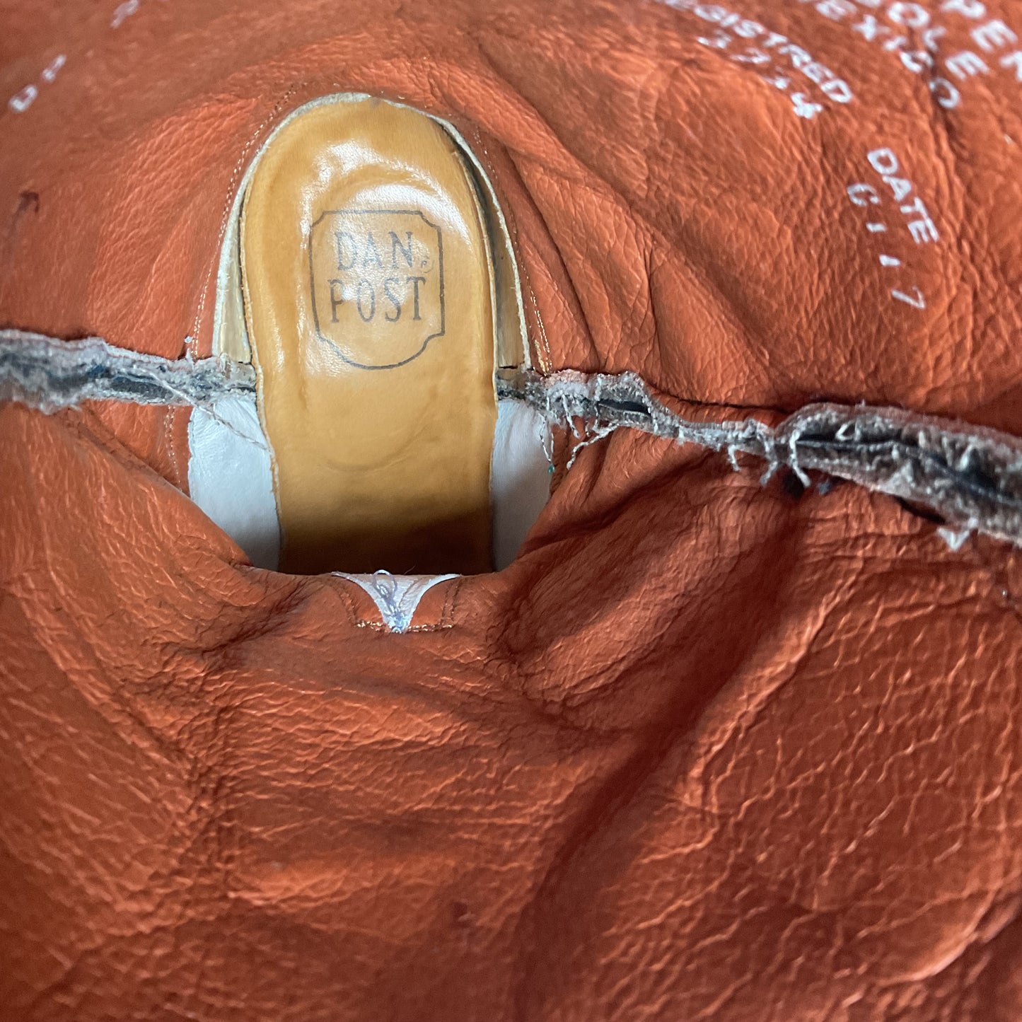 Dan Post Buckshot Lizard Cowgirl Boots 7.5 M Halloween Denim