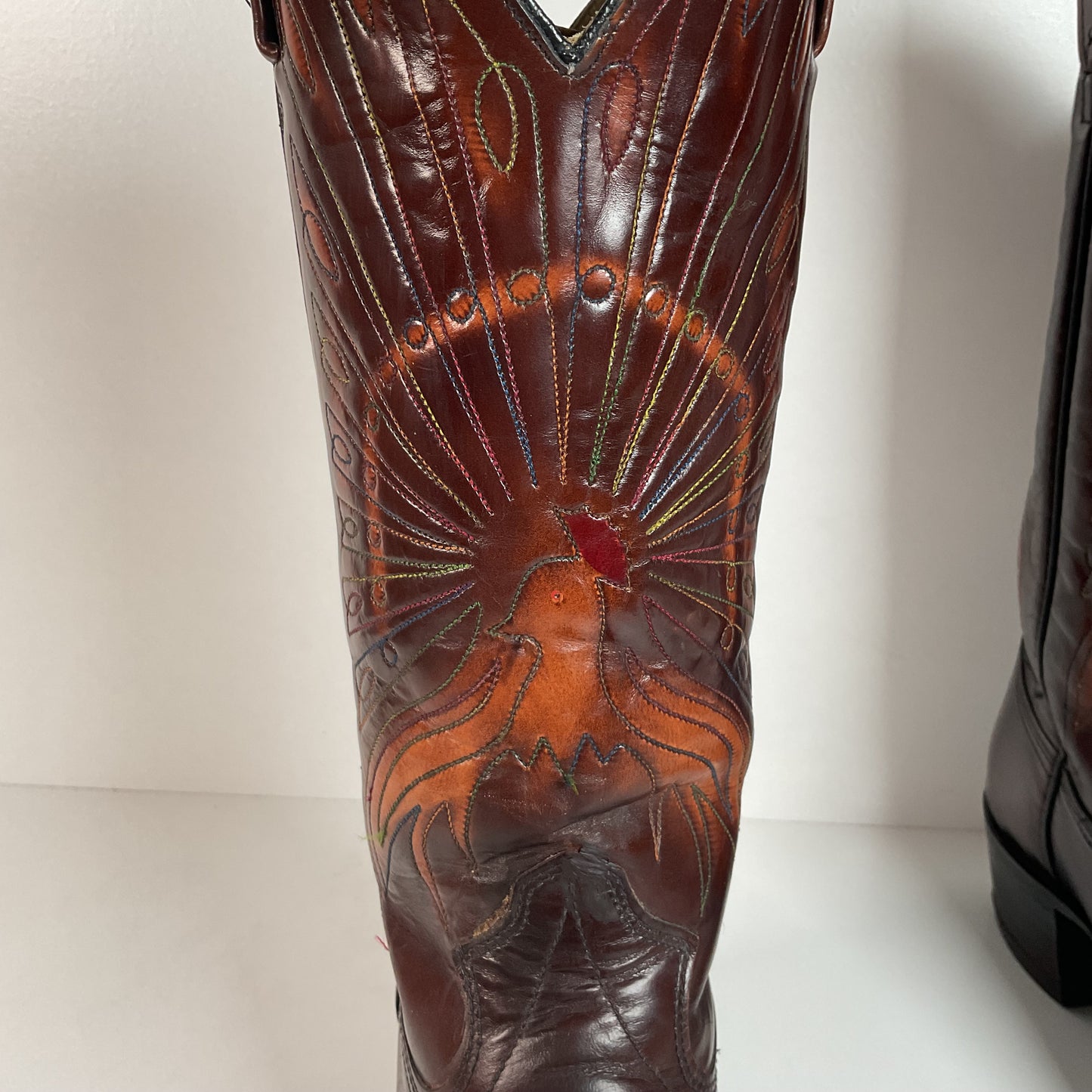 Vintage Texas Thunderbird Cowboy Boots | Rainbow Peacock | USA Made | 70s | 10 D